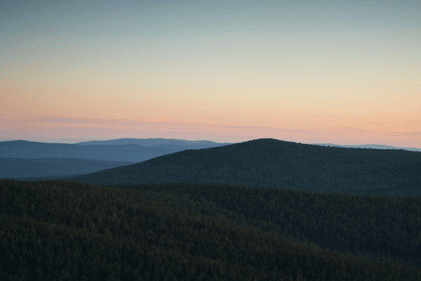 Di Tao Herbs; Intentional Sourcing