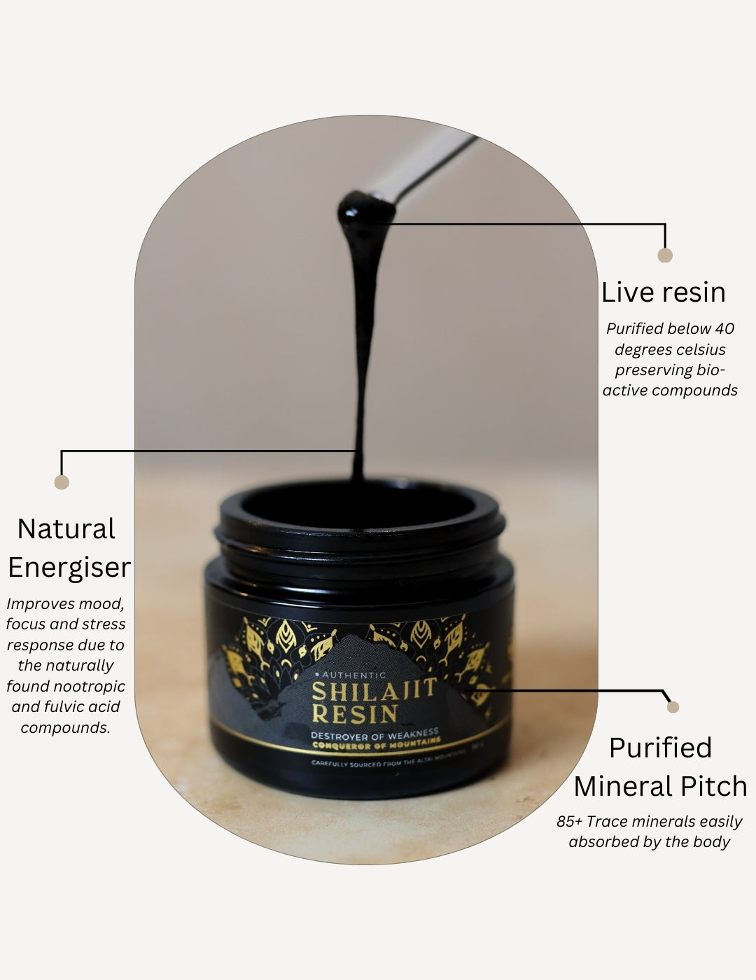 Kensho Pure Shilajit and Wild Chaga Extract
