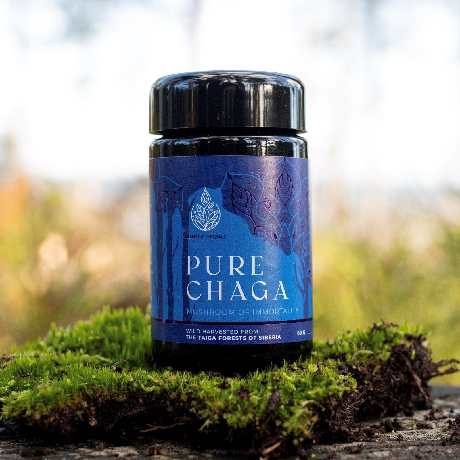 Wild Chaga Extract