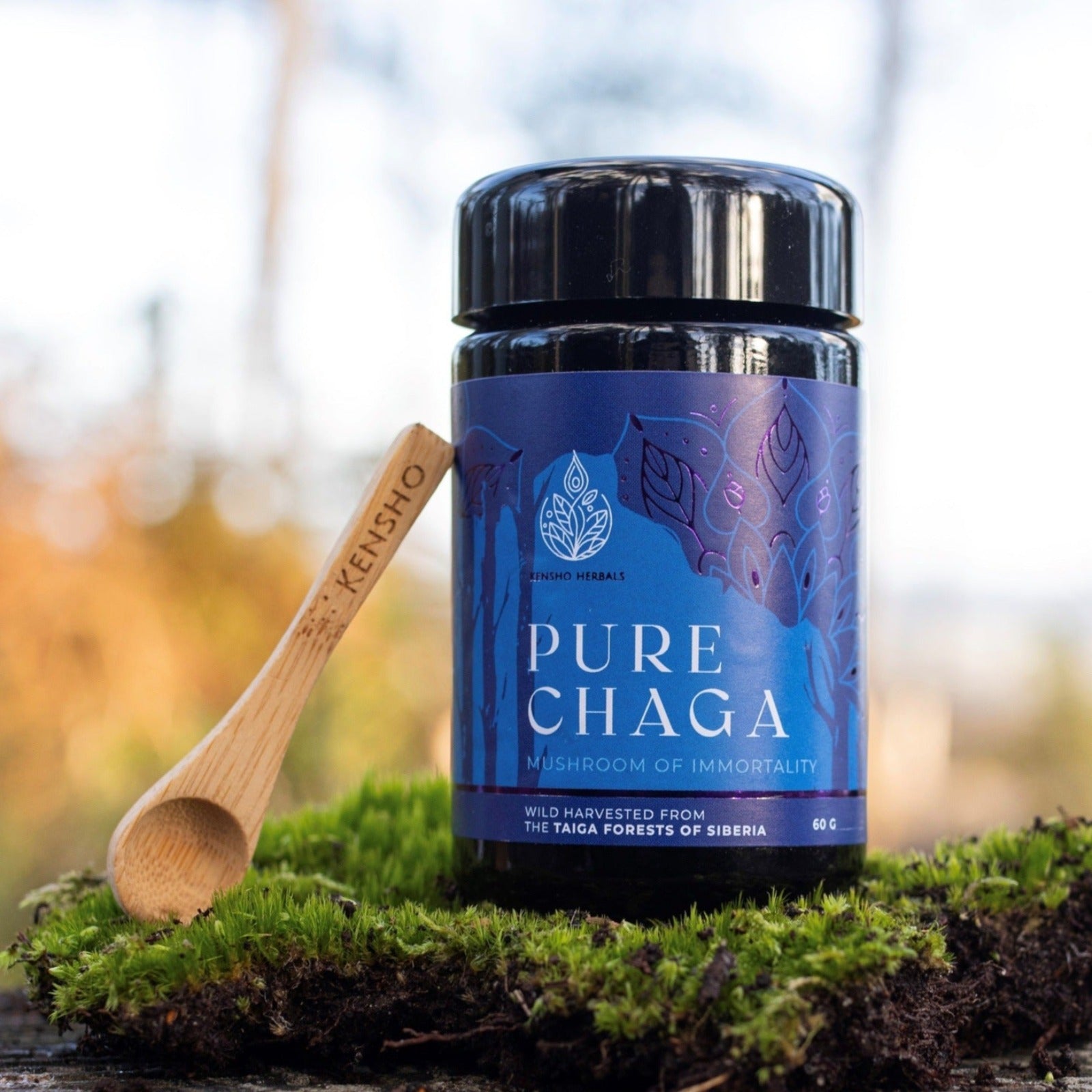 Wild Chaga Extract